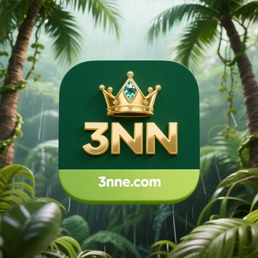 3nn.com logo